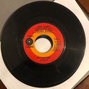 The Fortunes I Gotta Dream Vinyl 45 Record